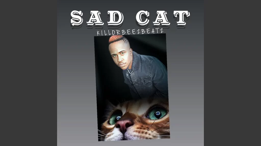 Killorbeezbeatz – Sad Cat - Featured Image
