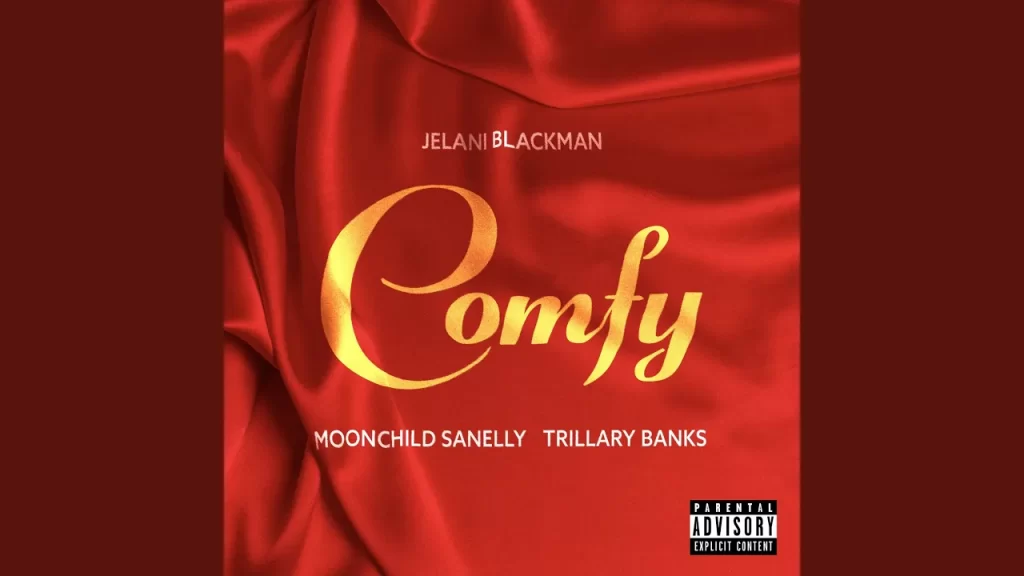 Moonchild Sanelly – Comfy - Featured Image