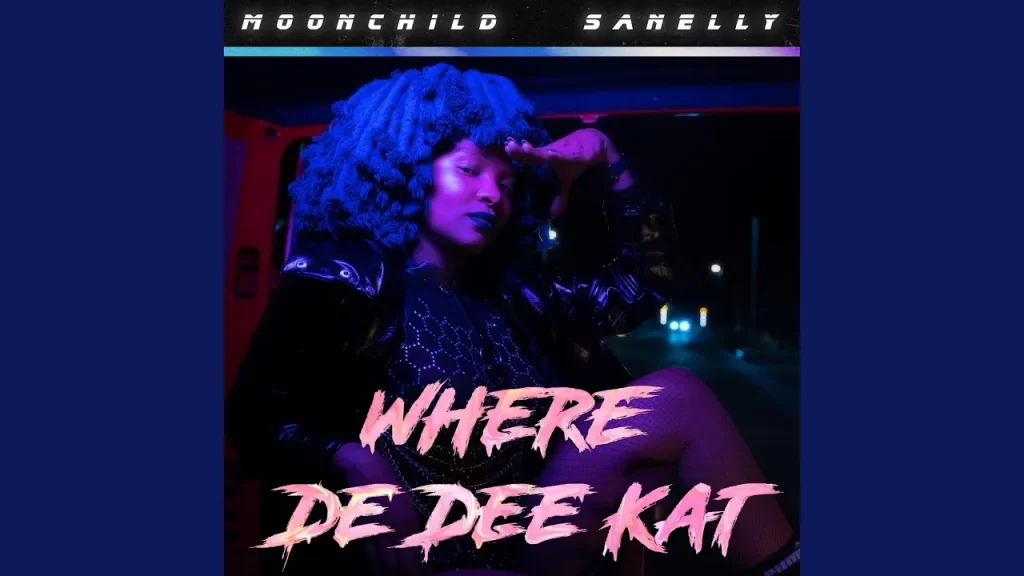 Moonchild Sanelly – Where De Dee Kat - Featured Image