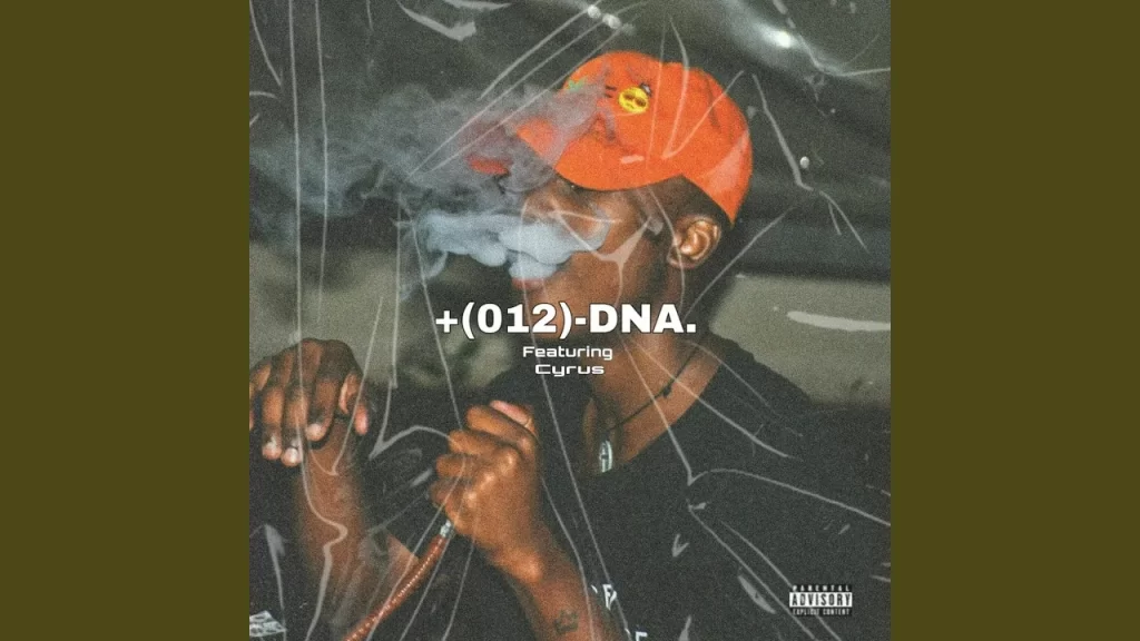 Kay T Direct – + (012) -DNA.
