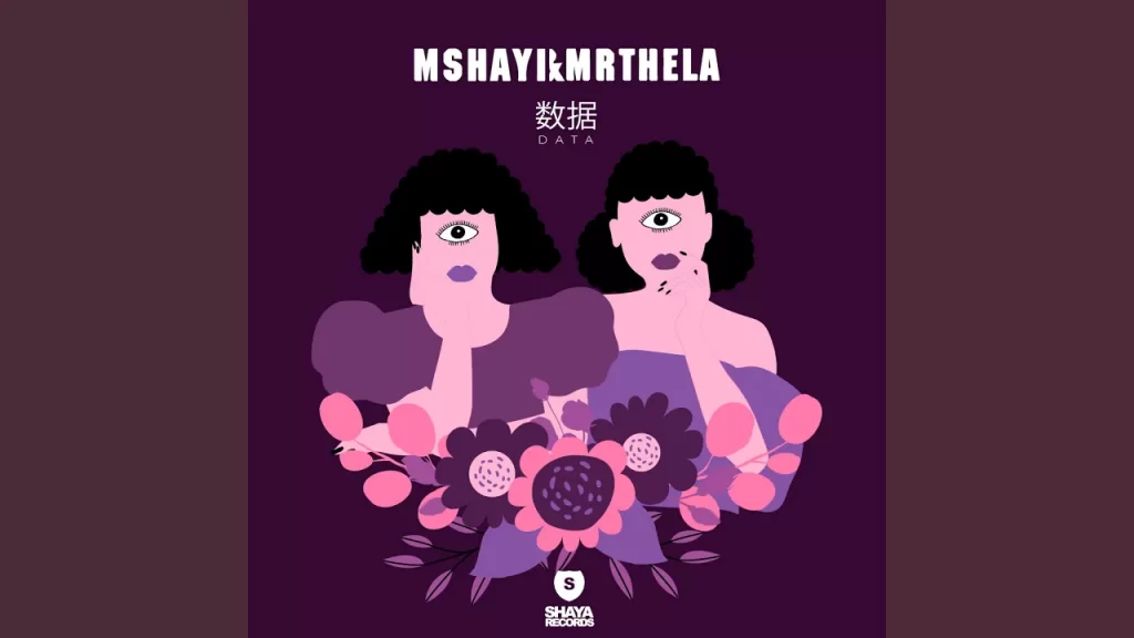 Mshayi & Mr Thela – Data