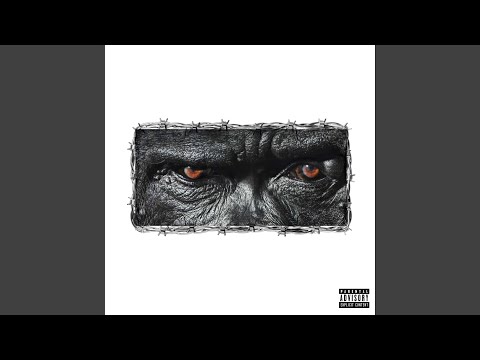 Joey B – GORILLA - Featured Image