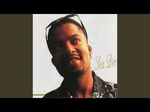 Sea Bee – Just Laugh