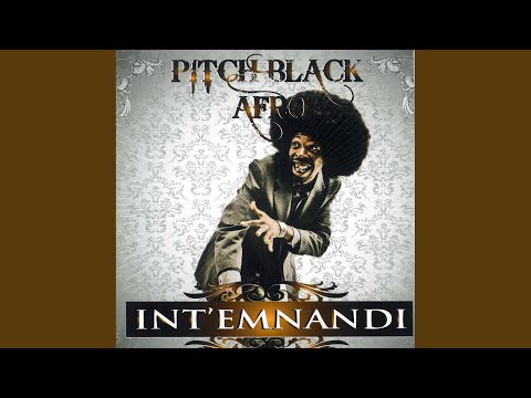 Pitch Black Afro – What You Did to Me