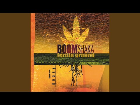 Boom Shaka – World Affair