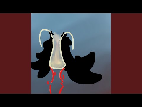 Sunny Boy – Angle Angle - Featured Image