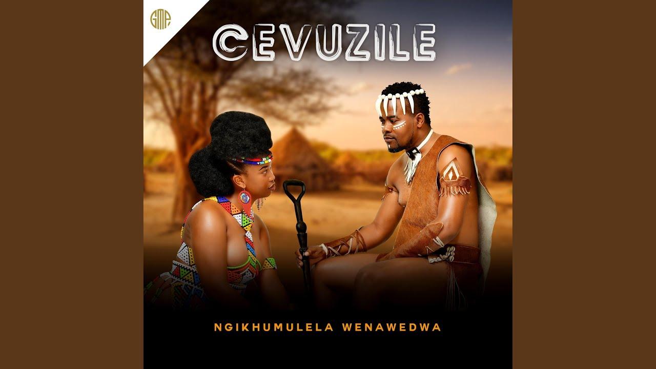 Cevuzile - Ngimamfuze Dali