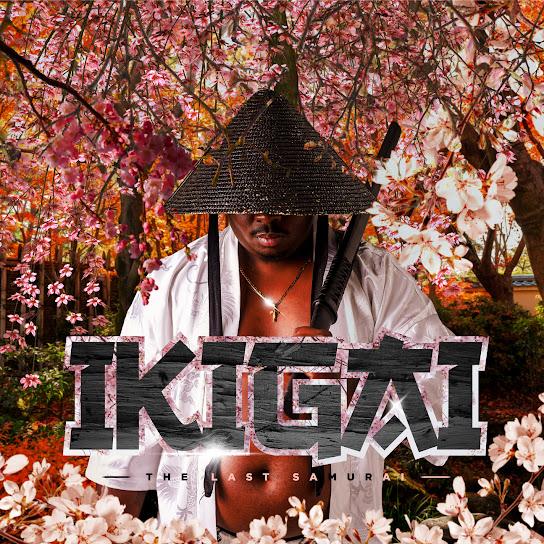 Tman Xpress - Idamu