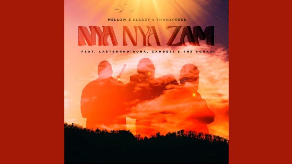 Mellow & Sleazy, Tman Xpress – Nya Nya Zam feat. LastBornDiroba, Zambezi, The Squad