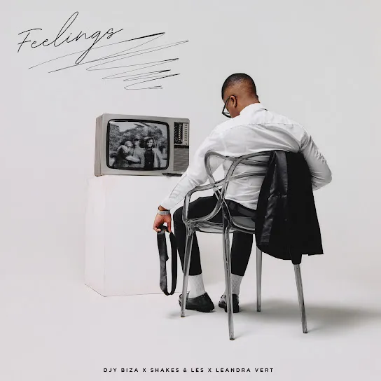 Djy Biza – Feelings ft. Shakes Les & Leandra.Vert - Featured Image