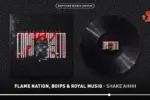 Flame Nation, Boips & Royal MusiQ - SHAKE'AAA